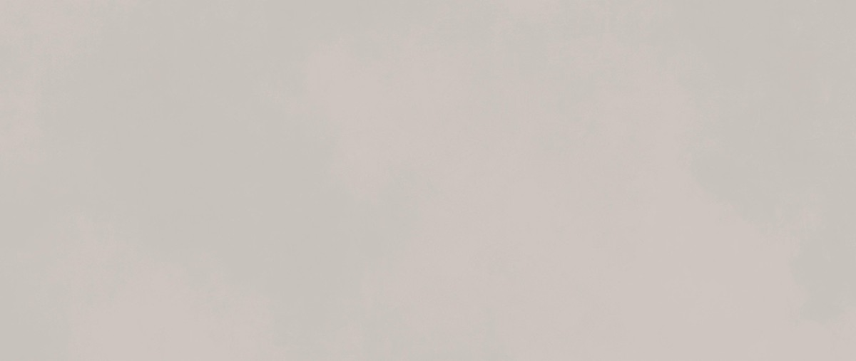 Boost Color Dove 50x120  